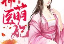 求神医萌妃小说免费资源-经典文学