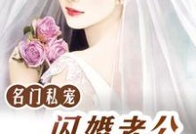 小说《名门私宠：闪婚老公好霸道》在线章节阅读-经典文学