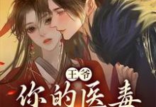 王爷，你的医毒王妃嫁到凌枫蝶萧南炎，王爷，你的医毒王妃嫁到在线无弹窗阅读-经典文学