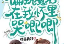男女主人公君清寒祁泽兮小说穿书，偏执魔君在我怀里哭唧唧章节免费阅读-经典文学