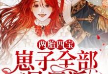 江瑾厉北霄瑾瑾的小说在哪里看?免费在线阅读两胎四宝,崽子全部是反派-经典文学