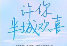 男女主人公苏念叶殊城小说许你半城欢喜章节免费阅读-经典文学