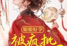 云芷宁祁夜景小说叫什么(娘娘好孕,被疯批皇帝专宠了免费阅读)-经典文学