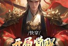 快穿:开局觉醒无上帝王系统小说,快穿:开局觉醒无上帝王系统在线阅读-经典文学