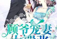 主角叫叶辰星顾时小说顾爷宠妻太嚣张章节免费阅读-经典文学