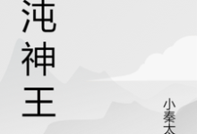 已完结小说《混沌神王》章节在线阅读-经典文学