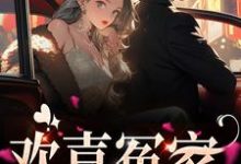 唐绾宋玺是哪本书的主角？寻找欢喜冤家免费阅读-经典文学