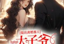 完结版《提出离婚那天,太子爷满城找夫人》章节阅读-经典文学