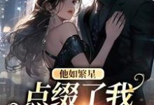 《他如繁星，点缀了我整个星空》小说大结局免费试读 黎念路柏川小说-经典文学
