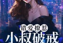 错爱撩惹:小叔破戒缠宠我小说,错爱撩惹:小叔破戒缠宠我免费阅读-经典文学
