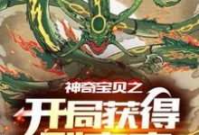 神奇宝贝之开局获得裂空座小说最新更新在哪里？免费在线看-经典文学