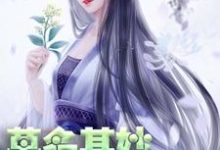 主人公轩辕琼华君墨宸君墨安轩辕如卫小说莫名其妙世子妃在线章节阅读-经典文学