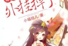 在线寻找娘子，你的外挂掉了小说的无删减版本-经典文学