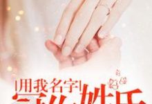男女主人公童夕傅睿君曾忆雅傅靖泽小说用我名字,冠你姓氏章节免费阅读-经典文学