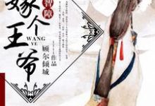 顾倾陈道陵洛冰鸾顾末的故事在哪本书里?免费阅读嫁个王爷是智障-经典文学