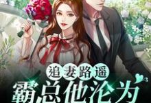 求追妻路遥:霸总他沦为妻奴啦小说免费资源-经典文学