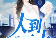 寻找能够免费阅读人到三十小说的平台-经典文学
