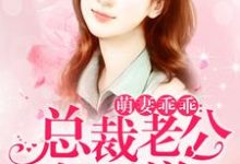 萌妻乖乖：总裁老公好霸道全晚晚凌小安萧寒小说在线章节目录阅读最新章节-经典文学