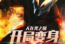 完结版《人在光之国：开局变身贝利亚》在线免费阅读-经典文学