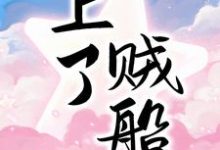 上了贼船小说全文阅读需要付费吗？寻找免费资源-经典文学