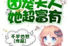 完结版《总裁的团宠夫人她超富有》免费阅读-经典文学