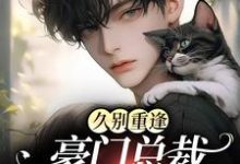 免费看久别重逢：豪门总裁又野又痞小说的网站有哪些？-经典文学