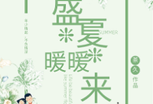 主角陆也莫暖小说盛夏暖暖来免费阅读-经典文学