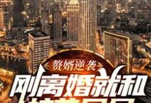叶秋白为主角的小说好看吗?求赘婿逆袭:刚离婚就和校花同居免费试读-经典文学