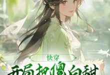 免费在线阅读快穿：开局把傻白甜反派拐回家小说的正规网站有哪些？-经典文学