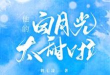 他的白月光太甜啦章节免费在线阅读,时晚段泽轩完结版-经典文学