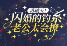 哪里能找到苏破天！闪婚的钓系老公太会撩小说的全部章节？-经典文学