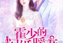 霍少的闪婚暖妻小说全文哪里可以免费看?-经典文学