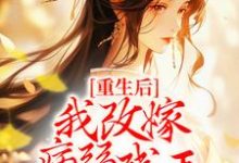 完结版《重生后,我改嫁病弱残王扶他上位》章节阅读-经典文学