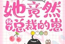 免费阅读叶梓晴沈少廷为主角的小说,一夜情后,她竟然怀了总裁的崽在线看-经典文学