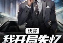 小说《快穿：我开局失忆，入赘云家》在线章节阅读-经典文学