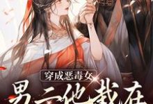 小说《穿成恶毒女,男二他栽在我手里了》在线章节阅读-经典文学