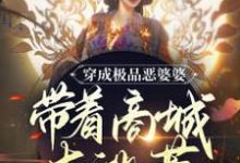 已完结小说《穿成极品恶婆婆,带着商城去逃荒》在线章节阅读-经典文学