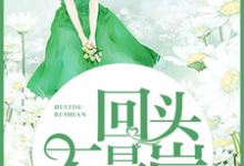 《回头不是岸》小说大结局免费试读 丁始君杨世逍刘优小说-经典文学