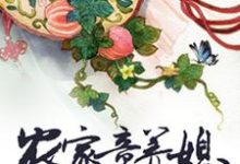 完结版《农家童养媳》免费阅读-经典文学