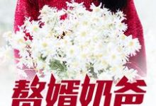 完结版《赘婿奶爸》在线免费阅读-经典文学
