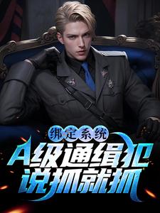 完结版《绑定系统：A级通缉犯说抓就抓》在线免费阅读