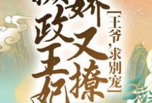 《摄政王妃娇又撩:王爷,求别宠!》全集免费在线阅读(林纤仙南御冥)-经典文学