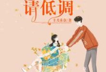 甜宠暖婚：总裁宠妻请低调小说，甜宠暖婚：总裁宠妻请低调在线阅读-经典文学