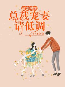 甜宠暖婚：总裁宠妻请低调小说，甜宠暖婚：总裁宠妻请低调在线阅读