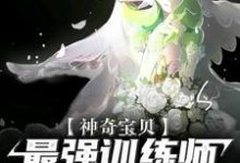 神奇宝贝：最强训练师之路沈云小说免费阅读-经典文学