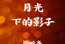 月光下的影子柳春禾沈飞，月光下的影子最新章节-经典文学