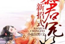 暴君宠妃新招式小说完结了吗?在哪里可以免费读到?-经典文学