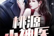 桃源小神医王小善小辣椒,桃源小神医最新章节-经典文学