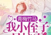 小说《青梅竹马：我小侄子是校霸》章节免费阅读-经典文学