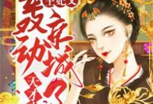 已完结小说《天才弃妃:王妃又轰动京城了》章节在线阅读-经典文学